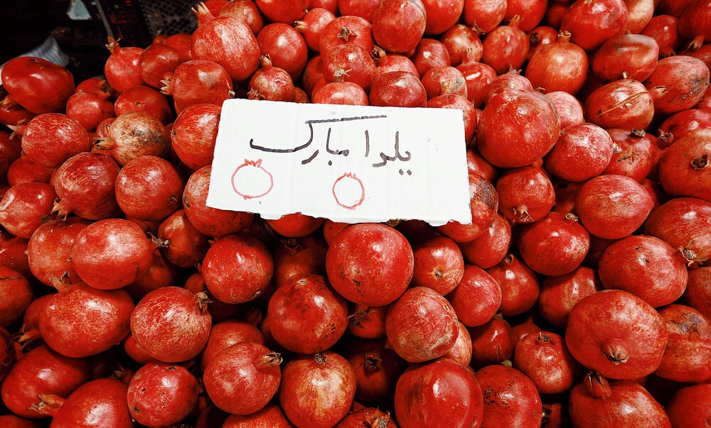 WildBits Network ALT