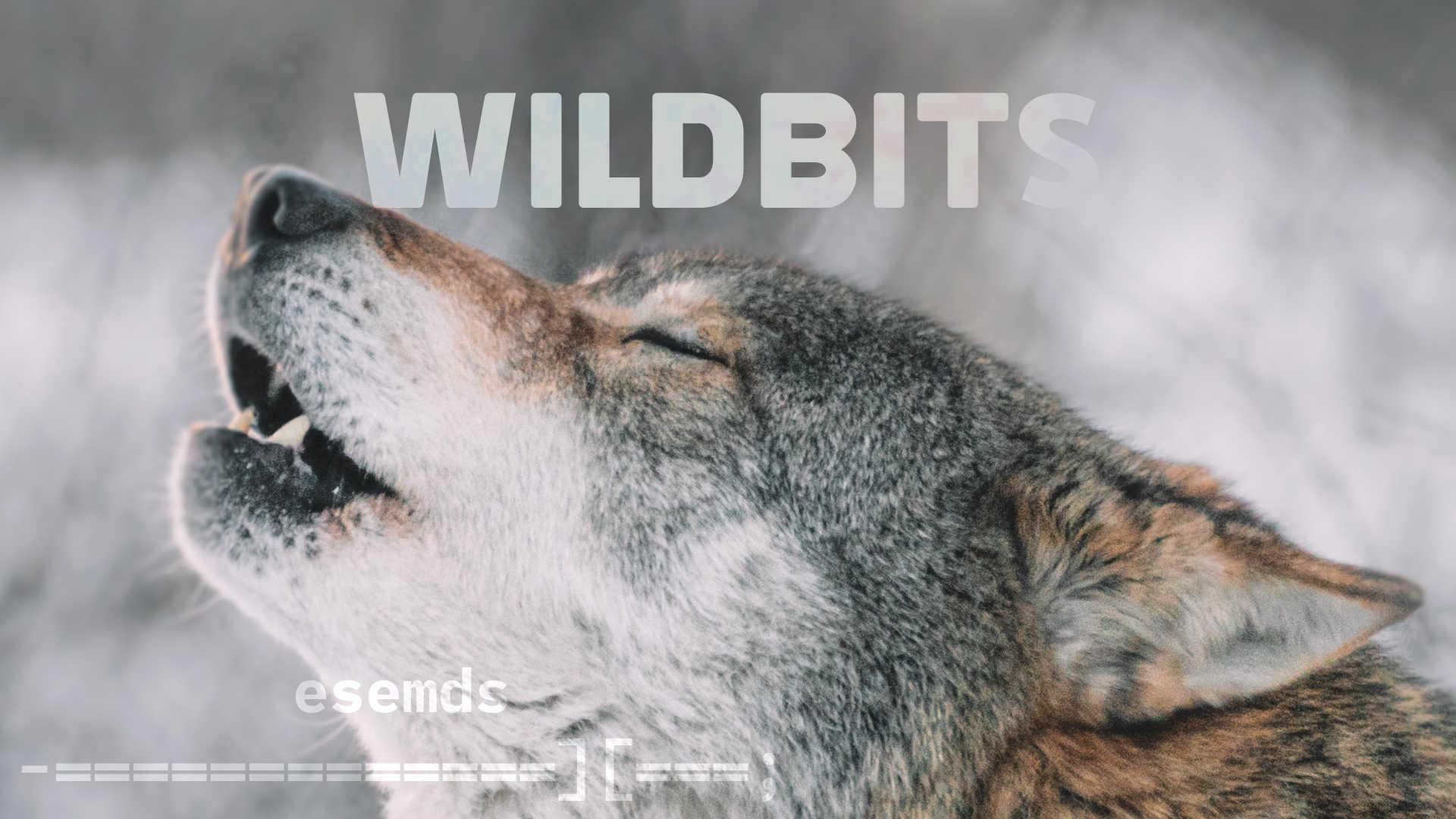 WildBits Network ALT