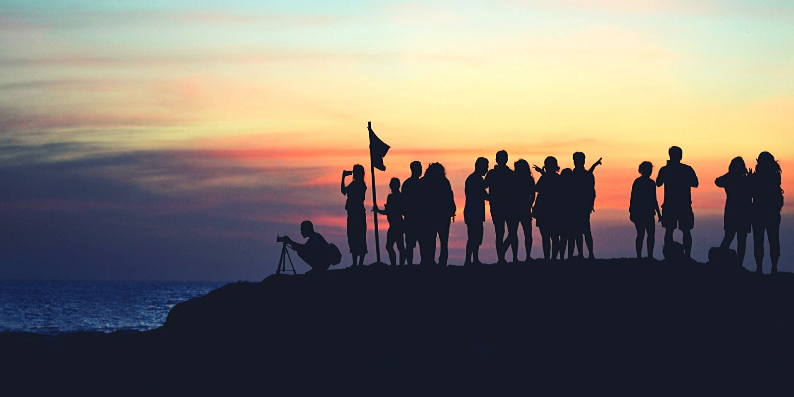 WildBits Network ALT