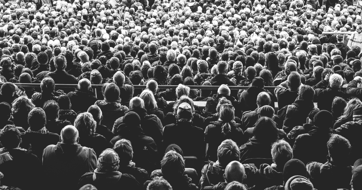 WildBits Network ALT