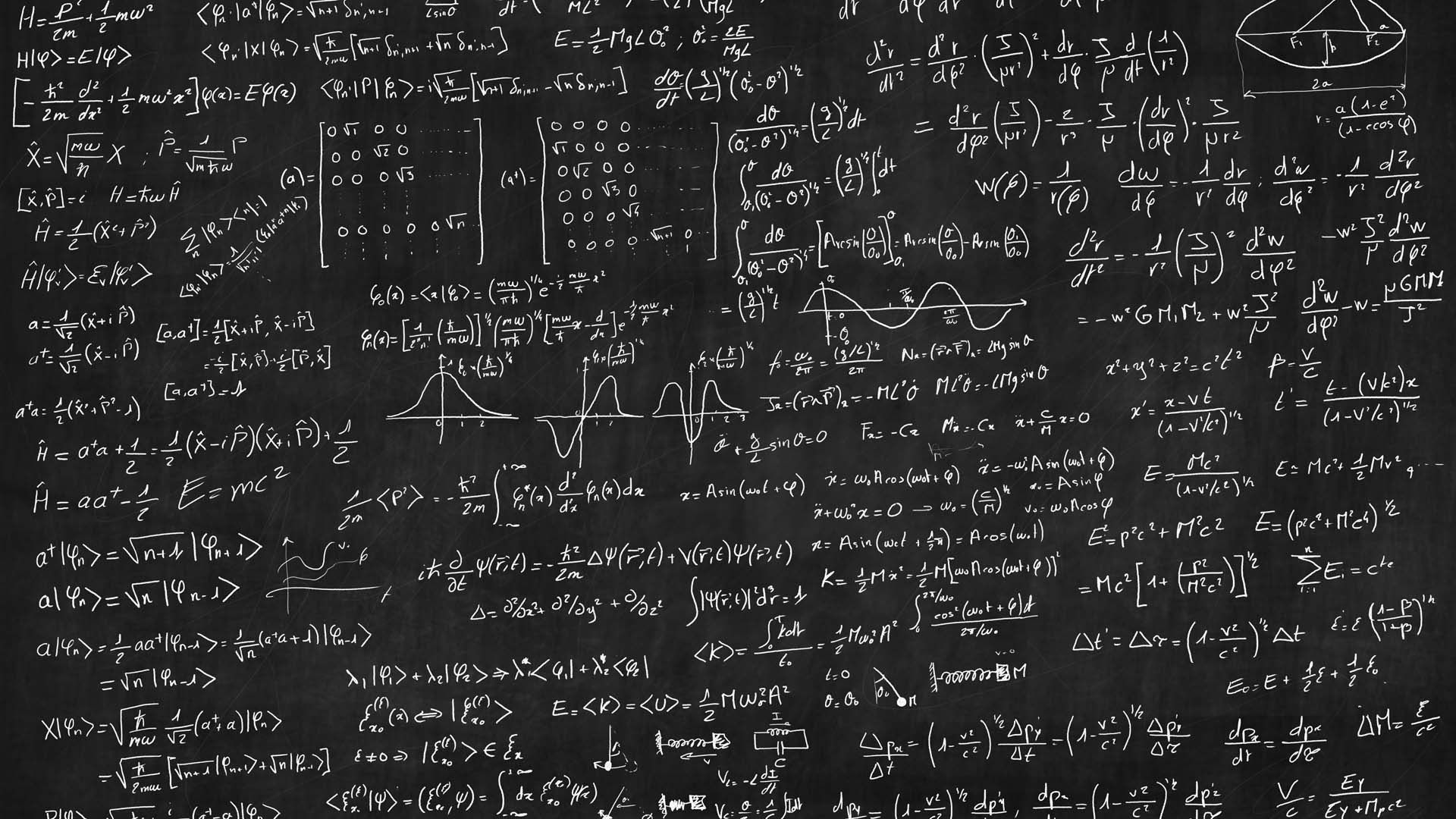 WildBits Network ALT