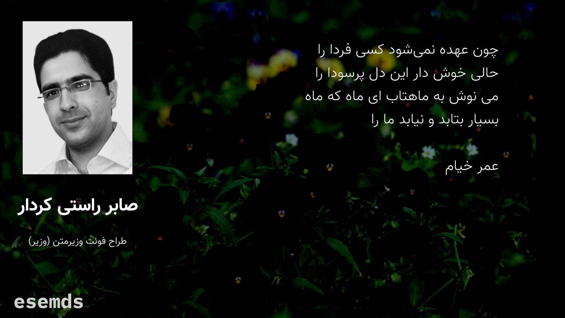 WildBits Network ALT