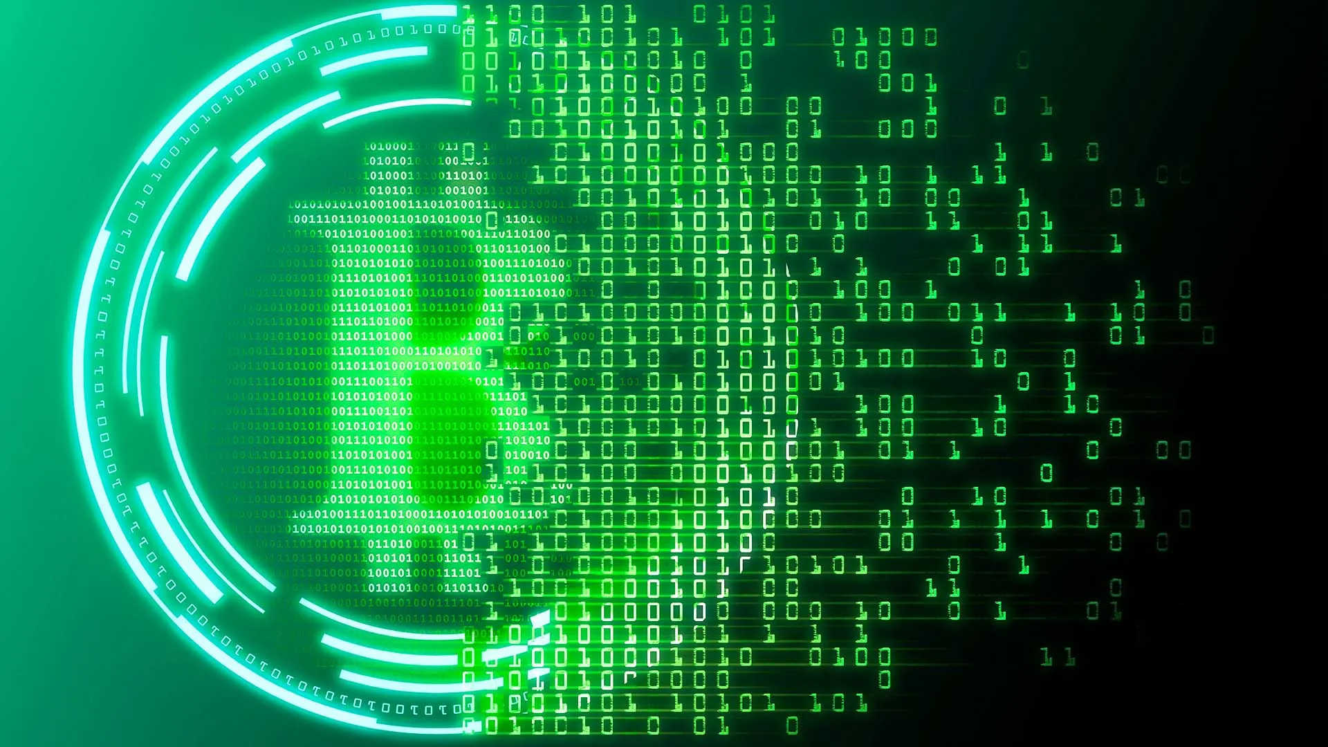 WildBits Network ALT