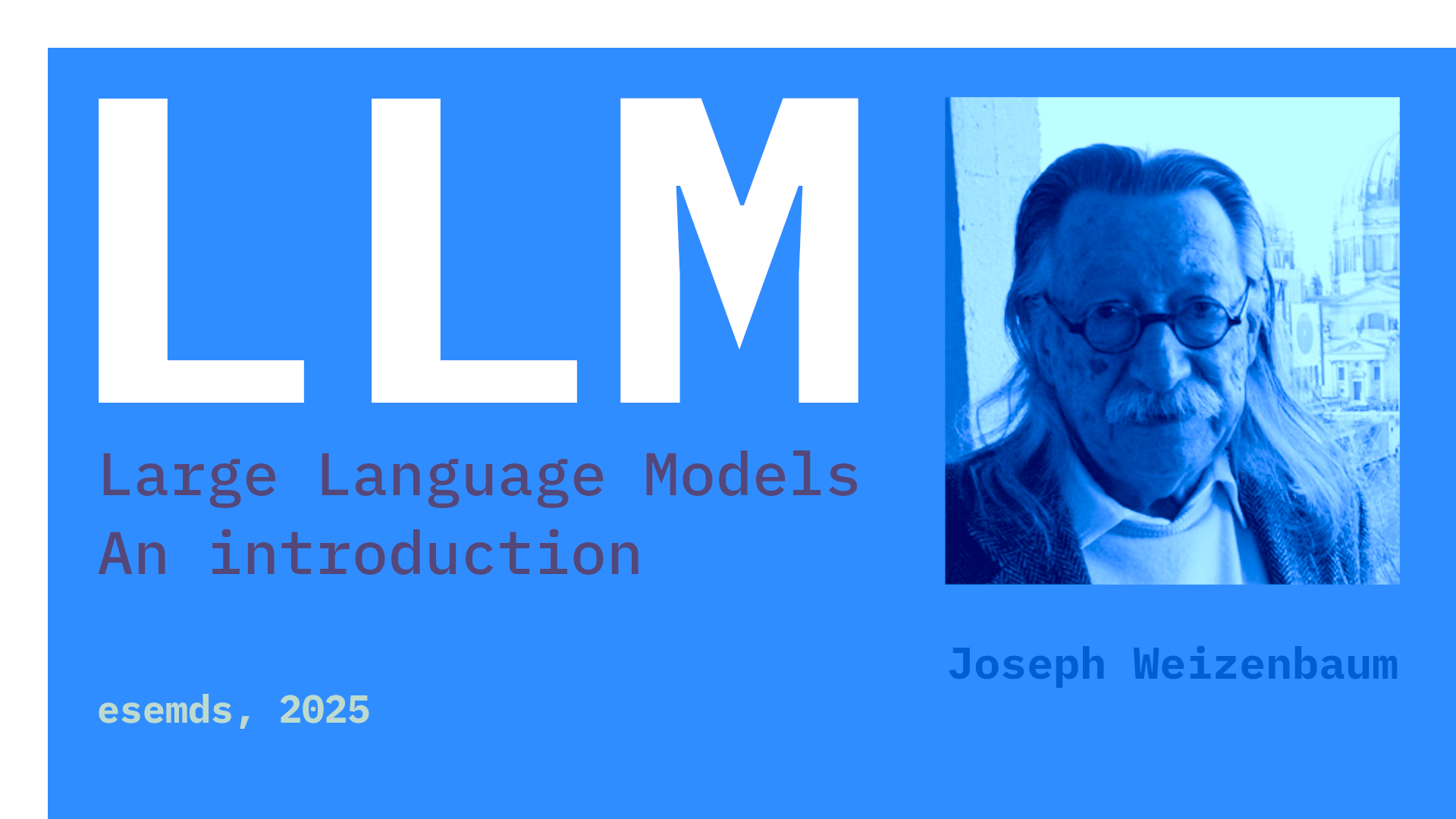 WildBits Network ALT