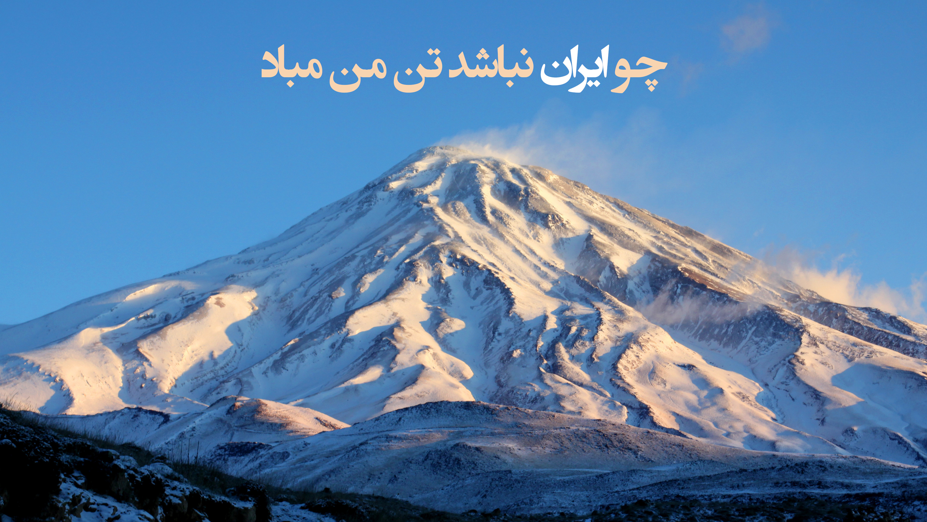 WildBits Network ALT